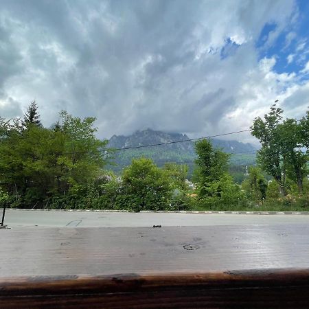 Castle Residence Apt. Zamorei บุชเตนี ภายนอก รูปภาพ